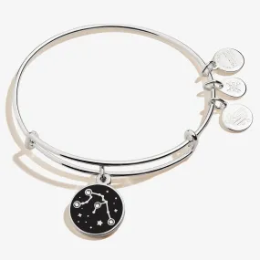 Aquarius Zodiac Charm Bangle, Color