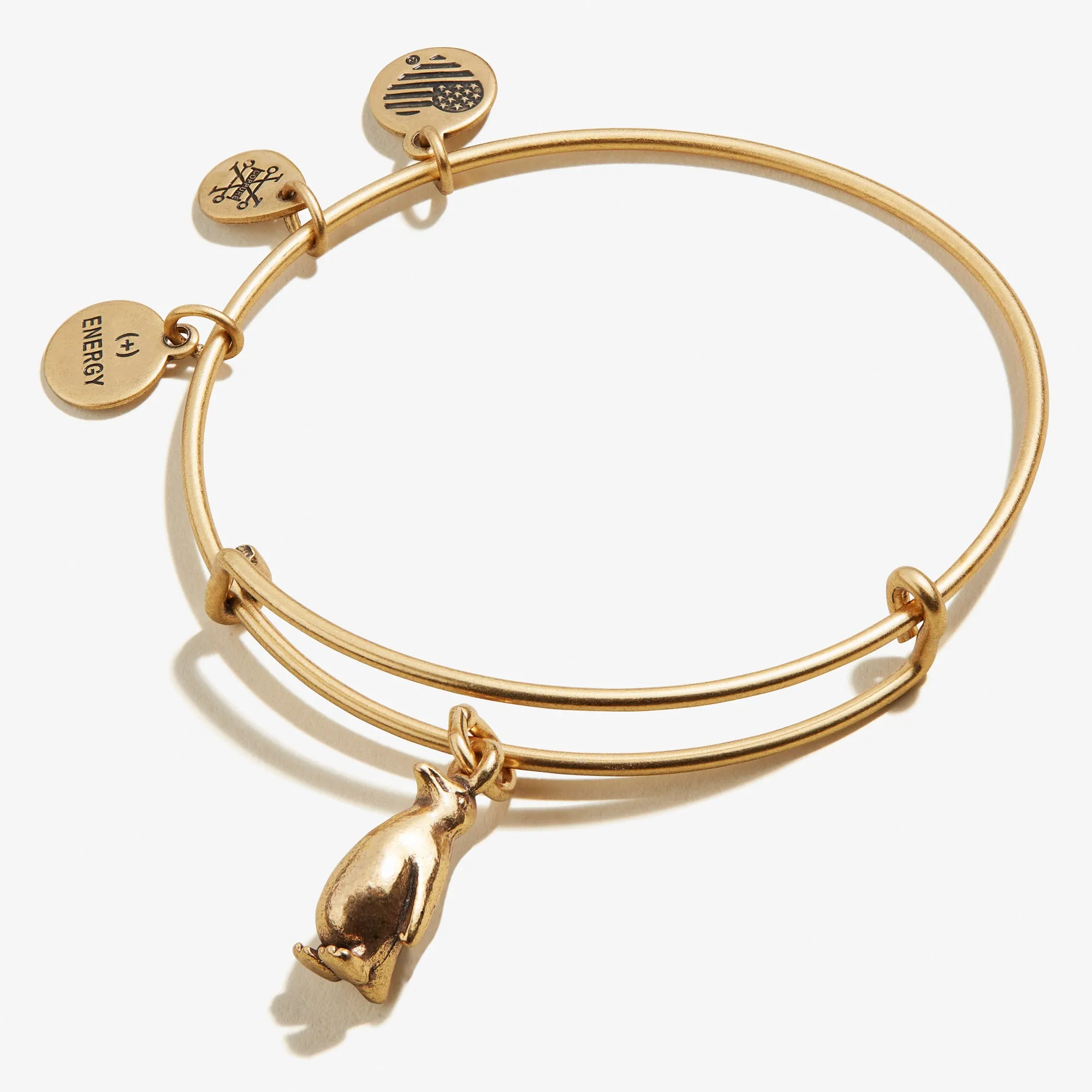 Penguin Charm Bangle