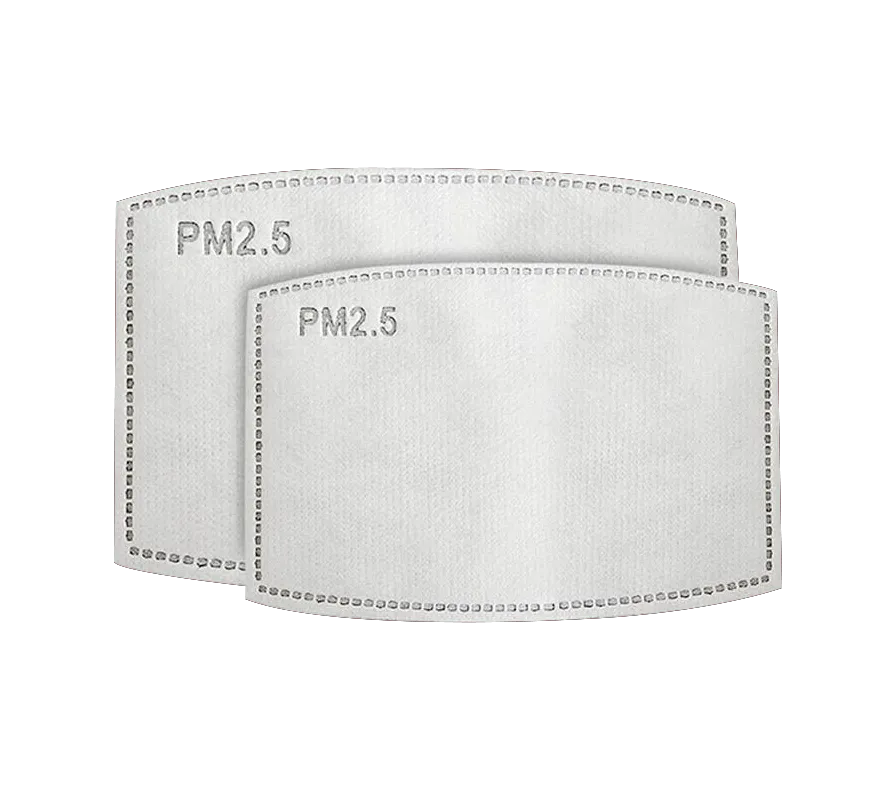 PM2.5 Insert for Face Masks