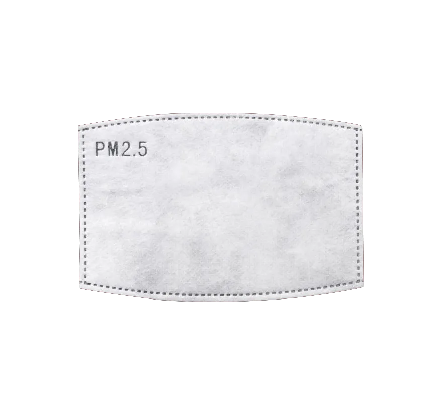 PM2.5 Insert for Face Masks